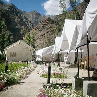 Room at Aryan Valley Camp, Ladakh