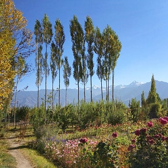 Raku Guest House, Ladakh