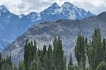 Mountains and trees, Indus valley, Ladakh