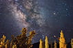 Stargazing in Ladakh, night sky