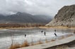 Hockey sur glace en hiver, Ladakh