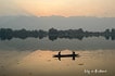 Boat on the Dal Lake, Srinagar, Kashmir