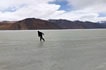 Ice skating on frozen Pangong lake, Ladakh