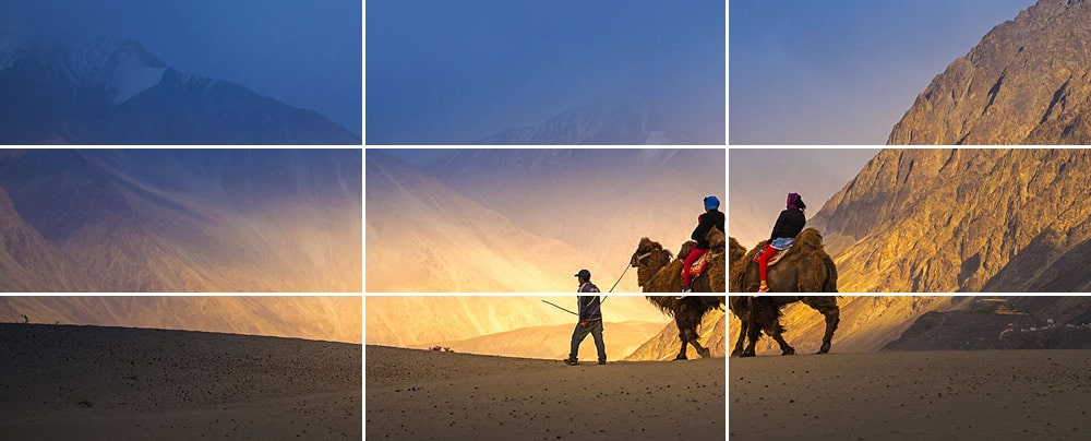 Rule of Thirds, example of a photo of camels at Hunder sand dunes, Ladakh