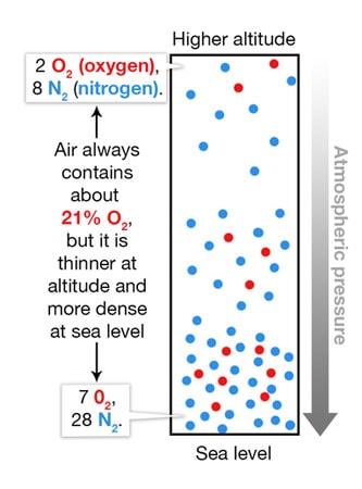 Oxygen availability and altitude, graphic