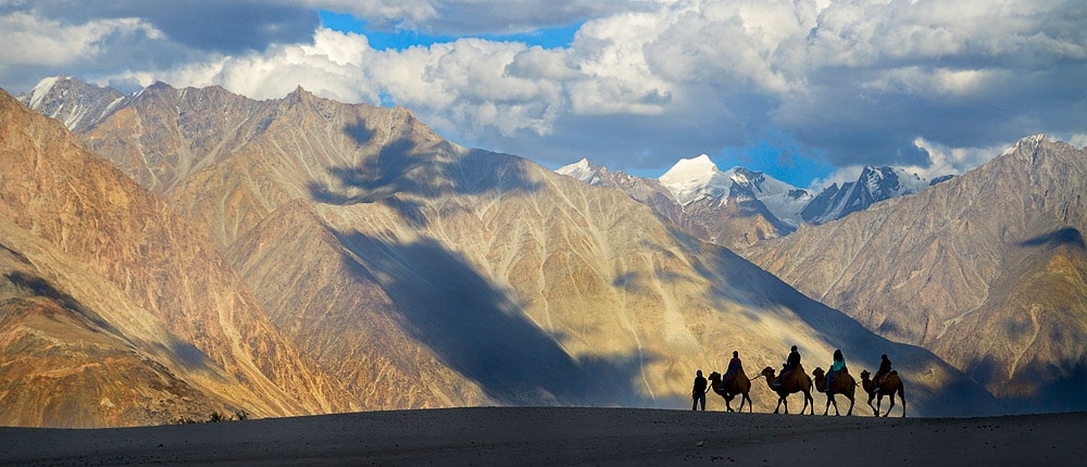 Tourists experiencing a Bactrian camel ride at Hunder sand dunes, Nubra valley, Ladakh