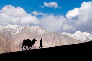 Nubra valley tour, Ladakh