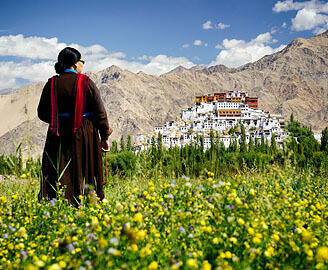 Thiksey Monastery Gompa with field filled with flowers, Indus valley, Pangong lake tour, Ladakh