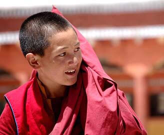 Portrait of a young monk at Hemis Monastery Gompa, Indus valley, Tso Moriri lake tour, Ladakh