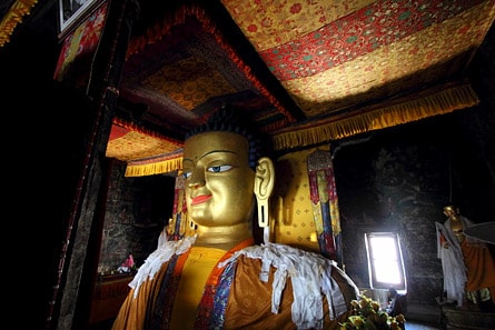 Buddha statue, Shey Palace, Ladakh
