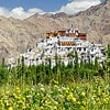 Thiksey Monastery