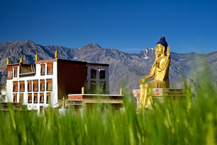 Classic Leh-Ladakh with Srinagar Tour Package
