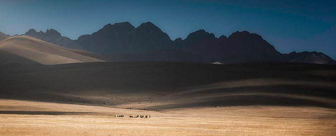 Landscape of Ladakh, Leh-Ladakh Tour Package