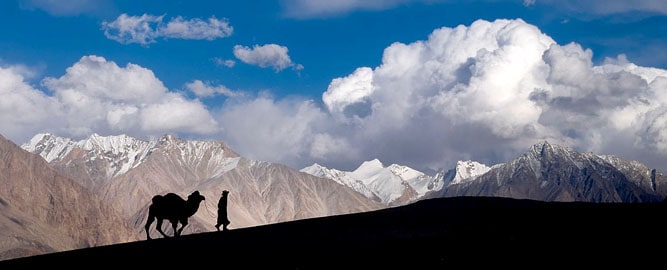 Bactrian Camel Ride at Hunder Sand Dunes, Nubra Valley, Leh-Ladakh Tour Package
