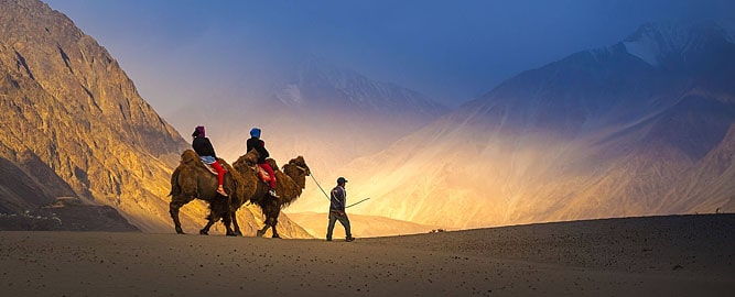 Hunder Sand Dunes Bactrian Camels, Nubra Valley, Leh-Ladakh Tour Package